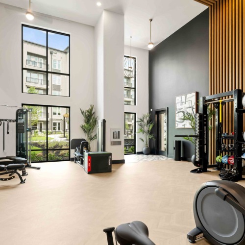 Elevated fitness center